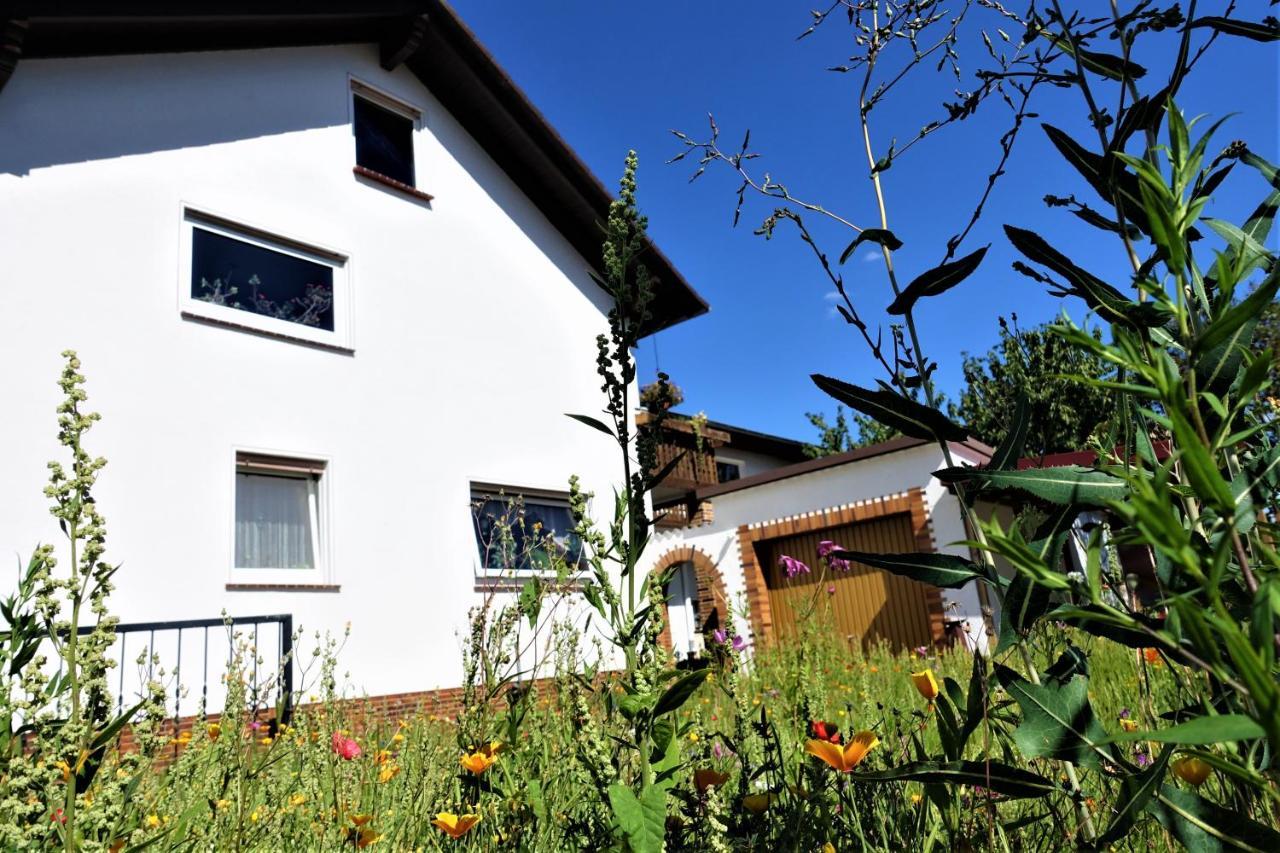Ferienwohnung-M8 Im Schoenen Werratal Jestadt Exterior photo